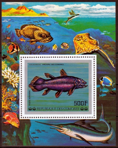 Komoren MiNr. Bl. 106 ** Fische aus dem Indischen Ozean