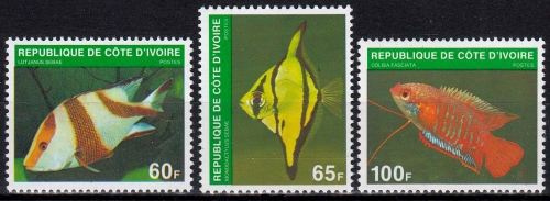 Elfenbeinküste MiNr. 636/38 ** Fische