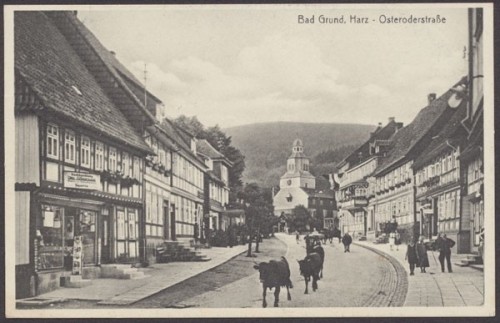 Bad Grund, Osteroderstraße, Rinder