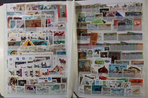 Motivsammlung "Pferde", Sammlung in 2 Alben
