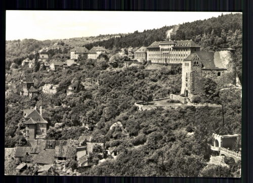 Bad Frankenhausen/Kyffh., Blick zum Weinberg