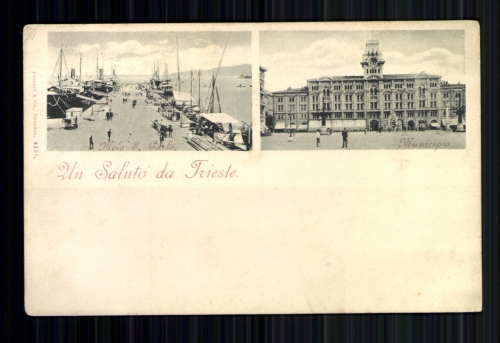 Triest, Mole, Municipia