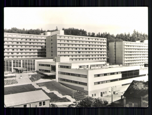 Bad Elster, Therapiegebäude und Bettenhäuser