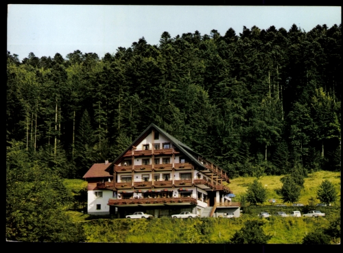 Bad Peterstal, Waldhotel Palmspring