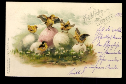 Fröhlichr Ostern, Kücken
