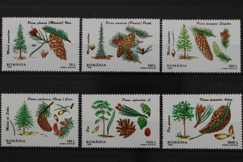 Rumänien, MiNr. 5202-5207, postfrisch