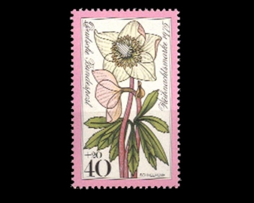 Deutschland (BRD), Michel Nr. 874, postfrisch