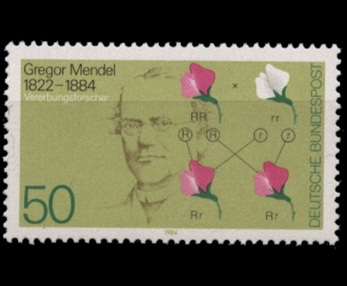 Deutschland (BRD), Michel Nr. 1199, postfrisch