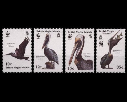 Jungferninseln, Vögel, MiNr. 637-640, postfrisch