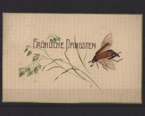 Fröhliche Pfingsten