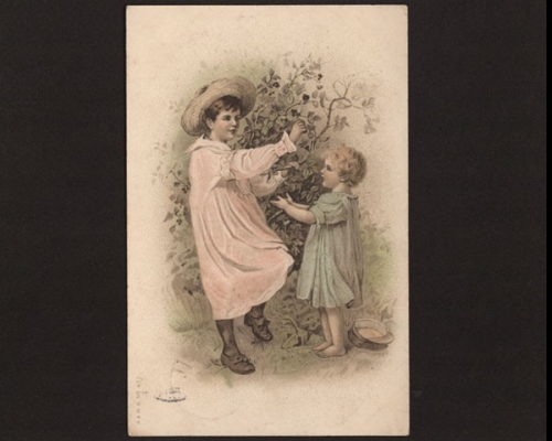 Mädchen am Rosenbusch