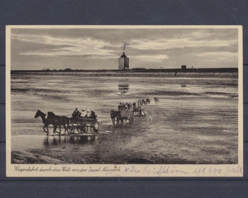 Neuwerk, Insel, Wagenfahrt durch das Watt