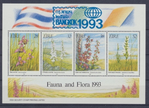 Irland, MiNr. Block 10 II, postfrisch