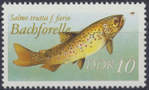 DDR, Michel Nr. 3096 II, postfrisch (314451)