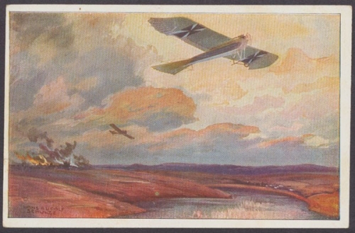 Militärtaube auf Erkundungsflug bei den Masurischen Seen
