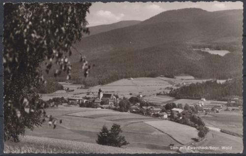 Lam Bayr. Wald, Blick auf den Ort mit Zwercheck