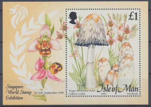 Isle of Man, MiNr. Block 24, postfrisch