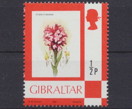 Gibraltar, Michel Nr. 348 IV, postfrisch / MNH