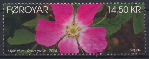 Färöer, MiNr. 801, postfrisch