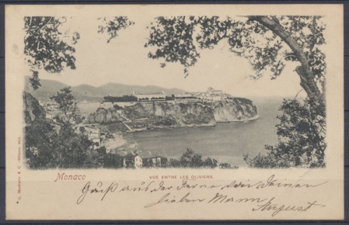 Monaco, VUE ENTRE LES OLIVIERS