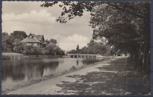 Uelzen, Ratsteich