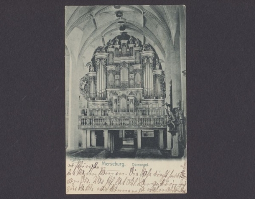 Merseburg, Domorgel