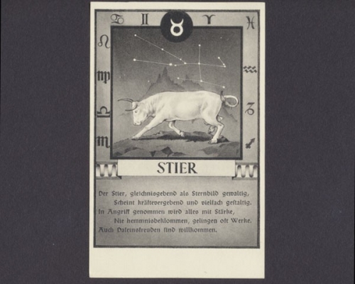 Sternbild Stier ...