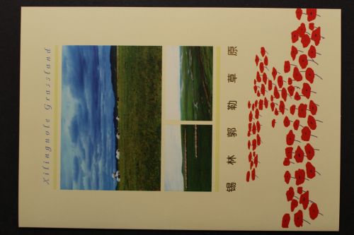 China, MiNr. 2926-2928 + Block 85, Folder, postfrisch