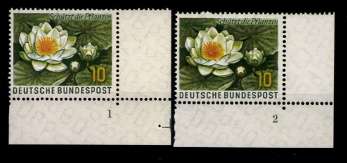 Deutschland (BRD), MiNr. 274, Eckr. rechts unten, FN 1 + 2, postfrisch