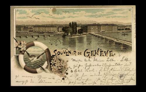 Geneve, Genfer See, Möwen, Rettungsring