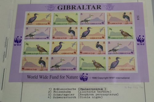 Motivsammlung Vögel, große selbstgestaltete Sammlung