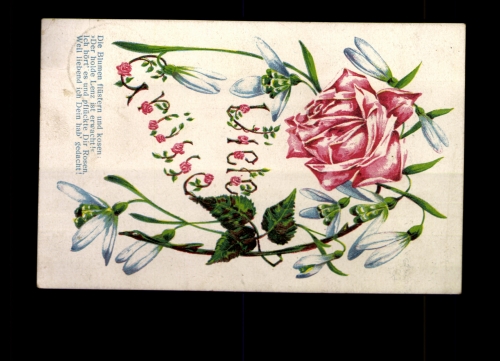 Viele Grüße, rote Rosen und Spruch