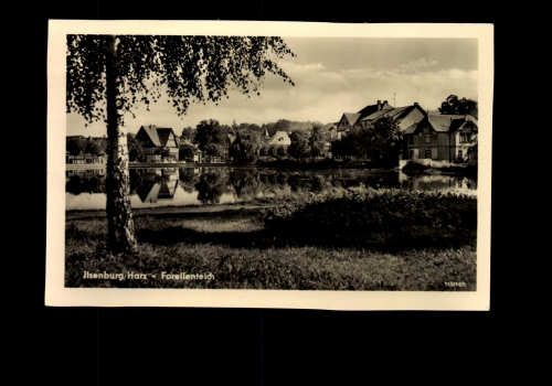 Ilsenburg / Harz, Forellenteich