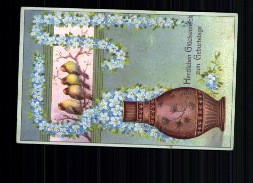 Vögel übermitteln Geburtstagsgrüße