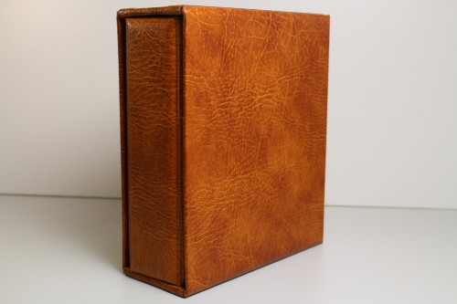 SAFE, 1 brauner Compact-Ringbinder mit Kassette
