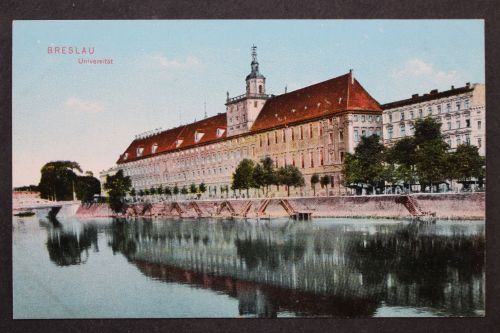 Breslau, Universität