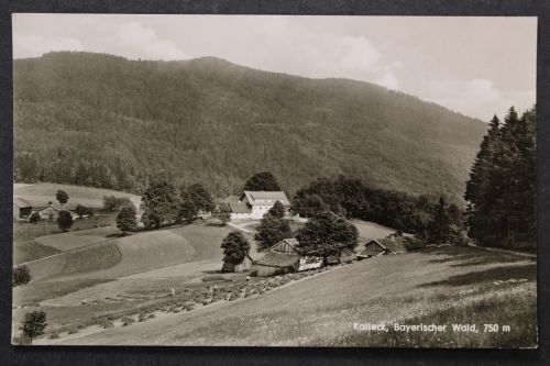 Achslach, Kalteck, Teilansicht