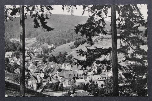 Bad Grund, Oberharz, Blick vom Knollen zum Ort
