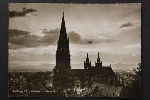 Freiburg i. Br., Münster im Abendlicht