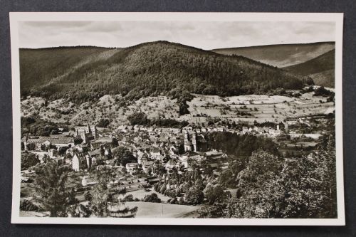 Amorbach, Breuberg, im Odenwald, Teilansicht, Kirchen