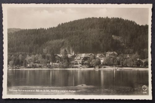 Titisee, Blick zum Schwarzwald-Hotel