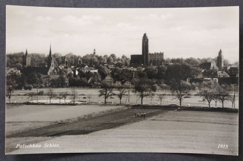 Patschkau/Schlesien, Blick zum Ort, Kirche