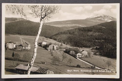 Eschau, Sommerau, Blick zum Ort mit Arber