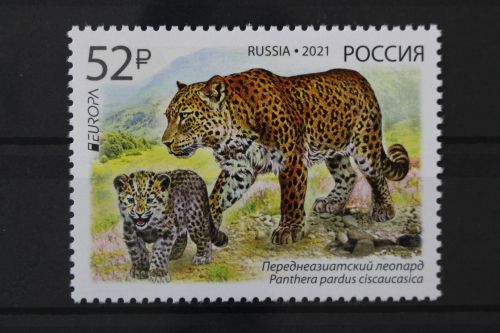Russland, MiNr. 2944, postfrisch