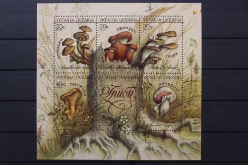 Ukraine, MiNr. Block 18, postfrisch