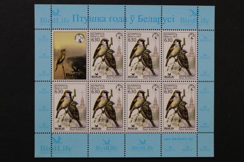 Belarus, MiNr. 484 Kleinbogen, postfrisch