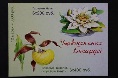 Belarus, MiNr. 407-408 Markenheftchen 1, postfrisch