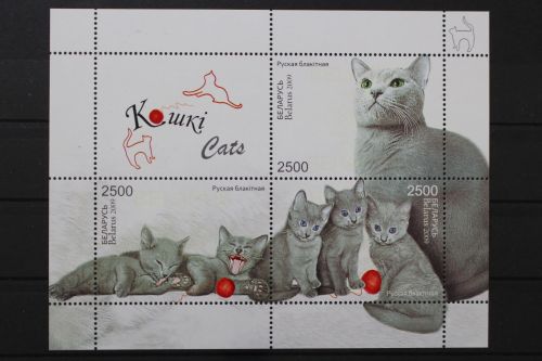 Belarus, MiNr. Block 69, postfrisch