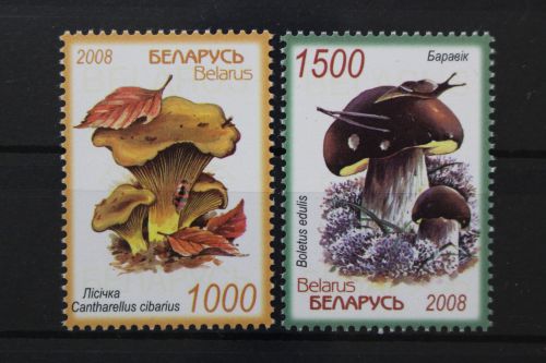 Belarus, MiNr. 720-721, postfrisch