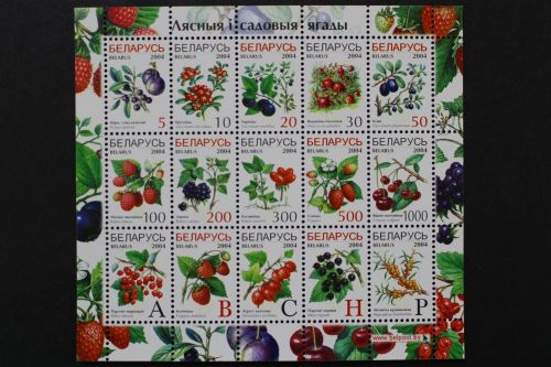 Belarus, MiNr. 514-528 Zd-Bogen, postfrisch